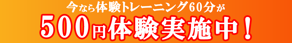 体験トレーニング